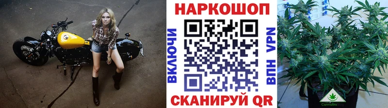 Меф мяу мяу Калач-на-Дону