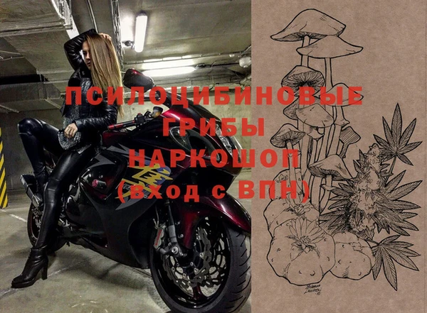 дживик Алексин