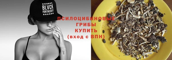 СК Алзамай