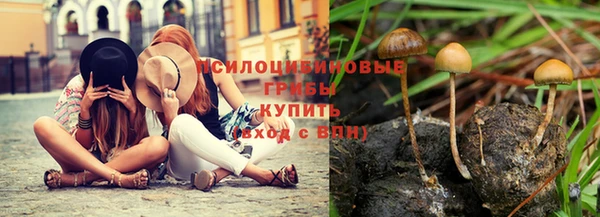 СК Алзамай