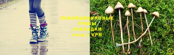 СК Алзамай